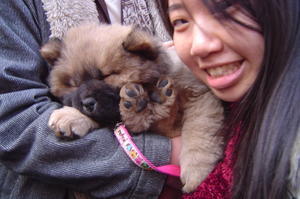 Wen Lei and puppy!