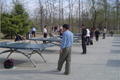Ping Pong is still a popular sport here 