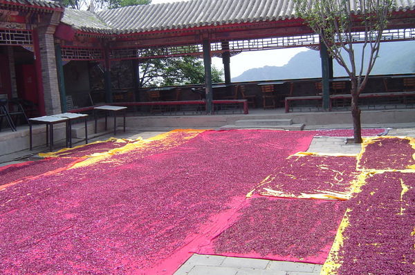 Locals dry these beautitful flowers in the sun to sell for tea-making purposes