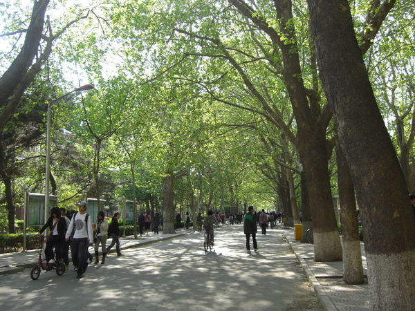 Springtime in Beijing