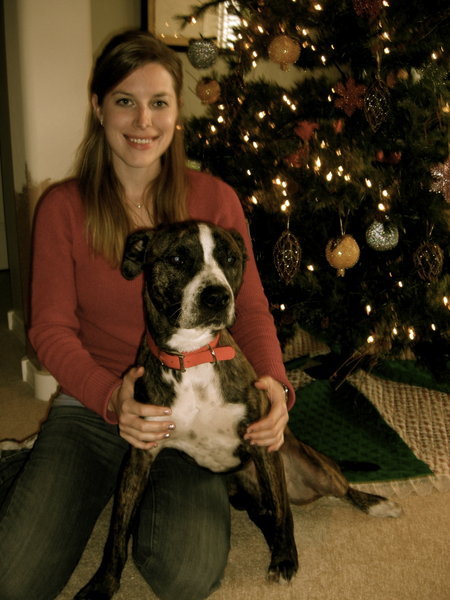 Christmas with Nick, the dog