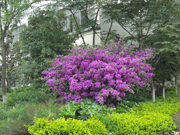 Kunming really is the City of Eternal Spring