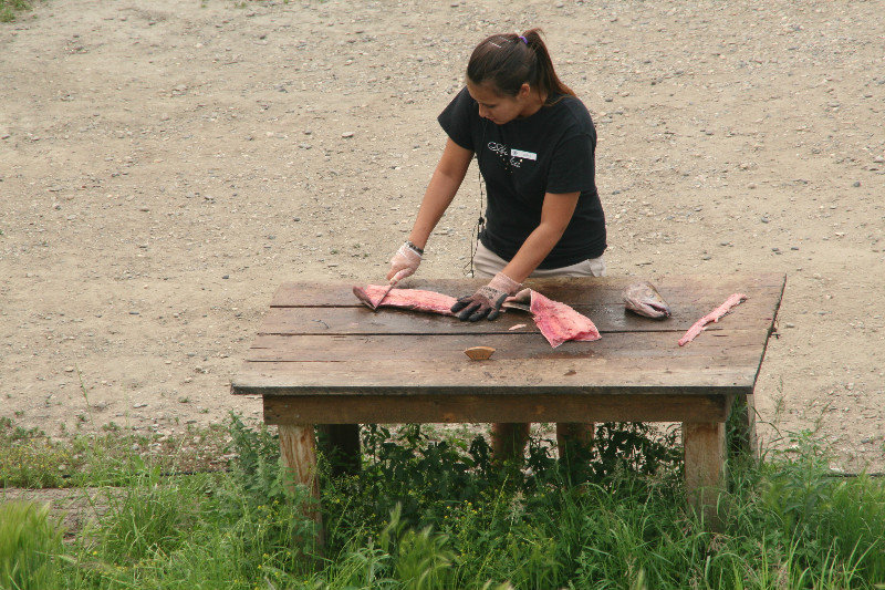 Lesson on Salmon fileting