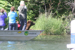 Bear in boat - NOT