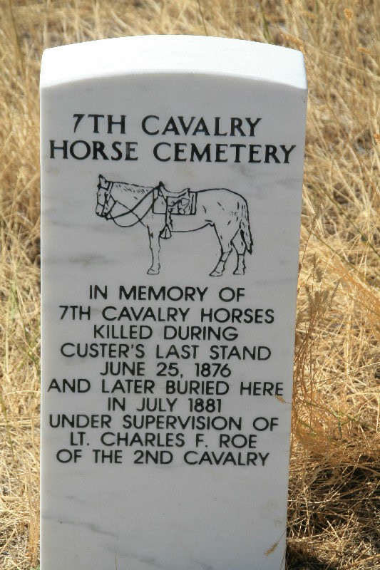 Horses were sacrificed and all buried in one area