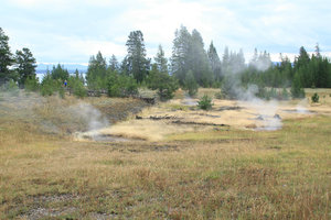 Small geysers in the field