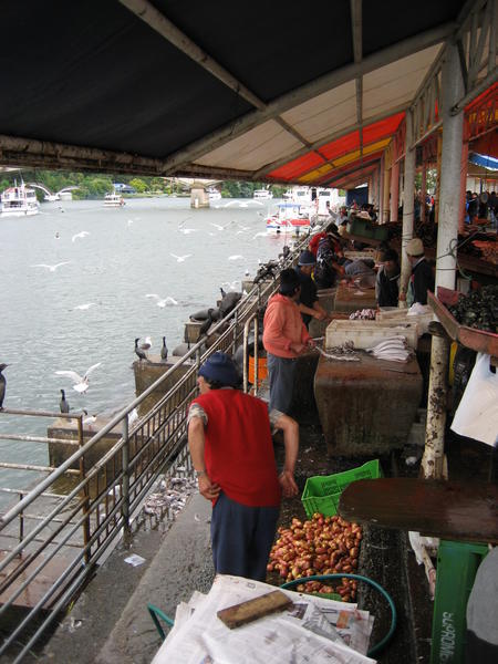 Fish market in Valdivia