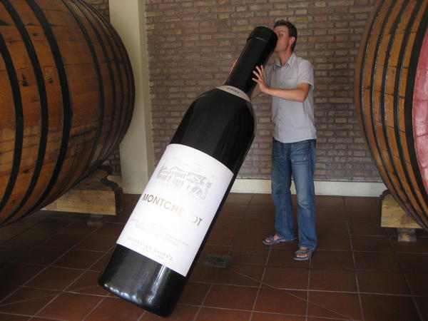 Winetour in Mendoza