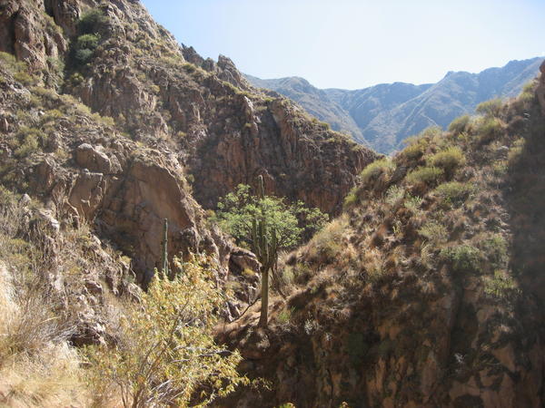 Trekking through a canyon in Cafayate