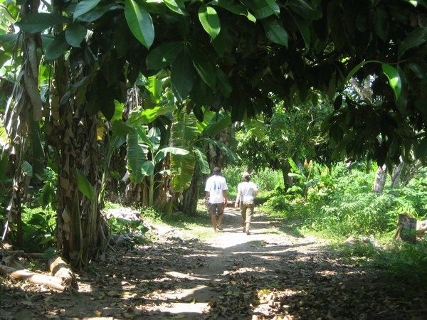 Jungle village Manco Capac