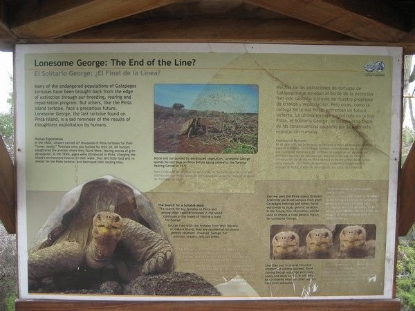 The story of Lonesome George