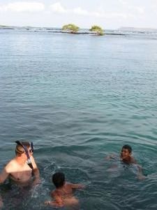 Snorkeling with a sealion and some local chicos