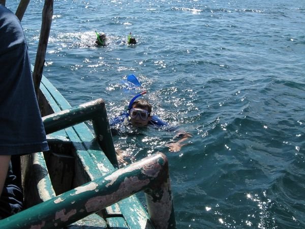 Snorkeling in the Indian Ocean