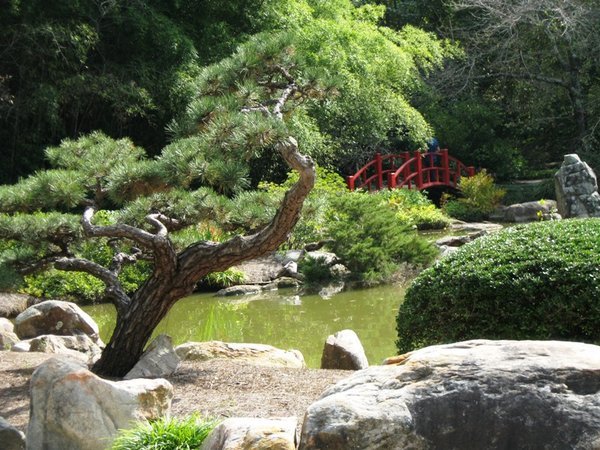Japanese Garden, in the Botanical Garden