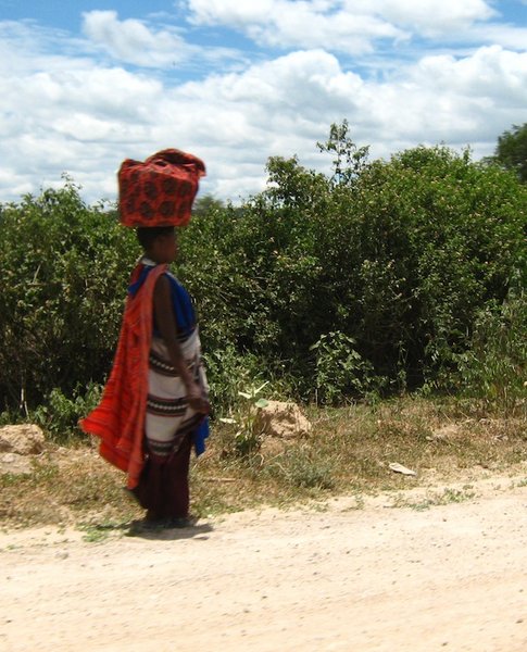 Massai Woman Carrying Her Burden