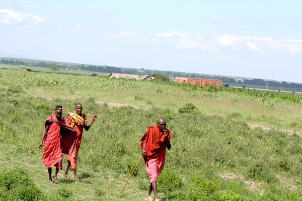 Typical Massai 