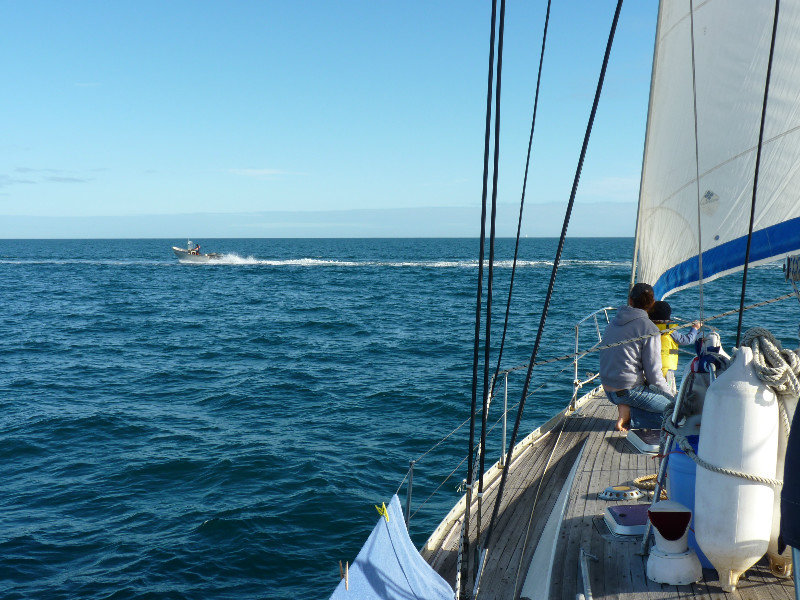 Calm sailing in Hervey Bay