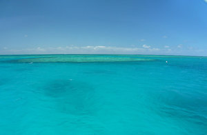 Polarised view of the reef