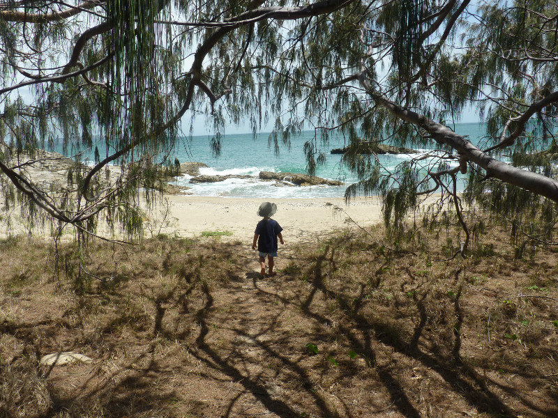 Alex explores the beach near Svendsens