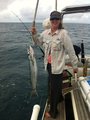 Barracuda - not that bad to eat