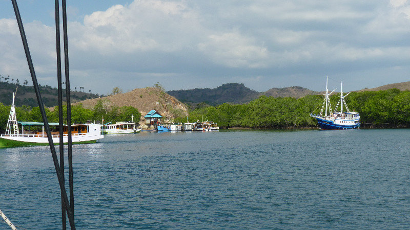 Tourist boats at The Rinca dragon spotting area