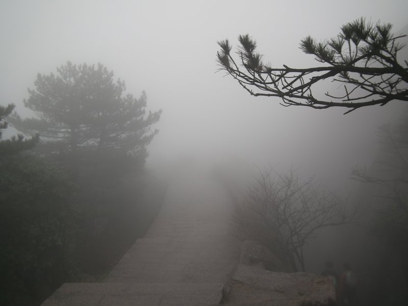 Fog covered mountain