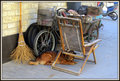 The bicycle repair dog