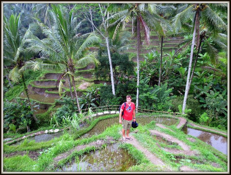 C at the Rice Terraces