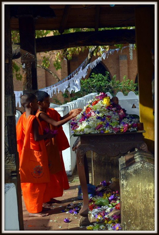 Flower offerings at the sacred tree