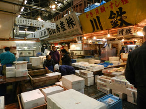Boxing up fish for restaurants