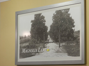 Original picture of Magnolia Lane