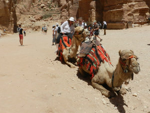 Sarah getting on a camel