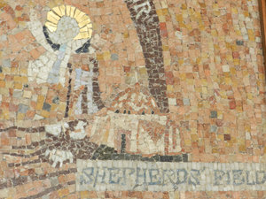 Mosaic of Stephen's Field