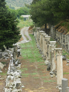 Avenue lined by columns