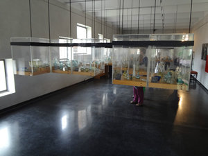 Murano glass museum, cool setup