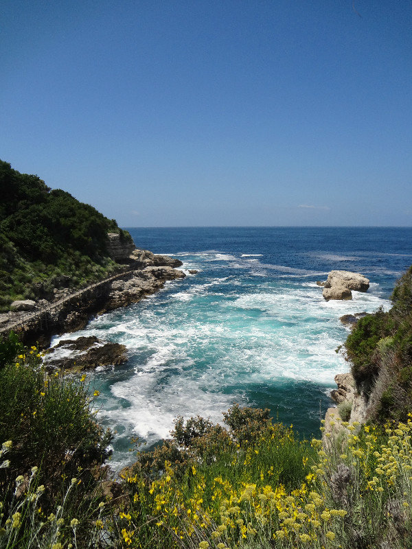 View from the local coastal walk - Punta del Capo