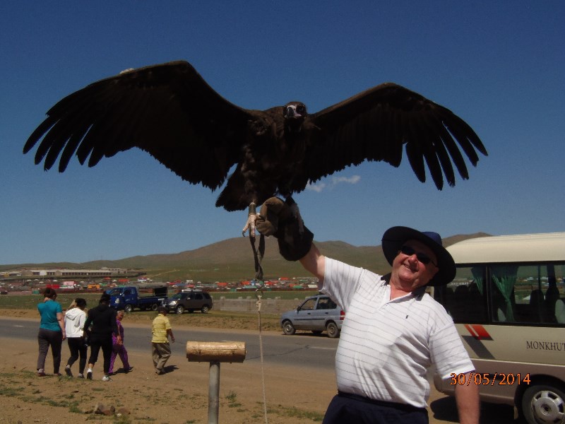 Ted & the black vulture