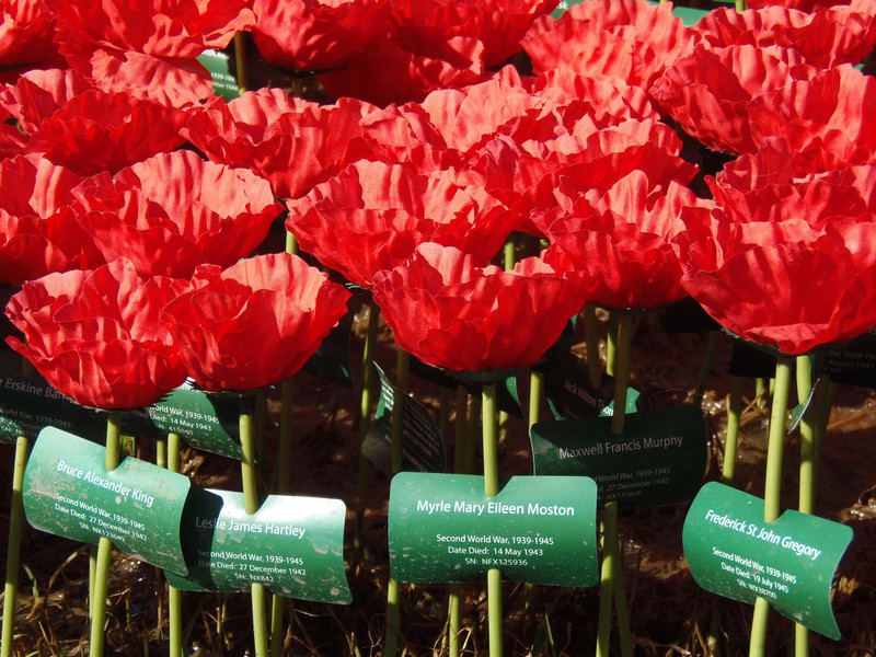 A single poppy for every serviceman or woman who has paid the ultimate sascrifice