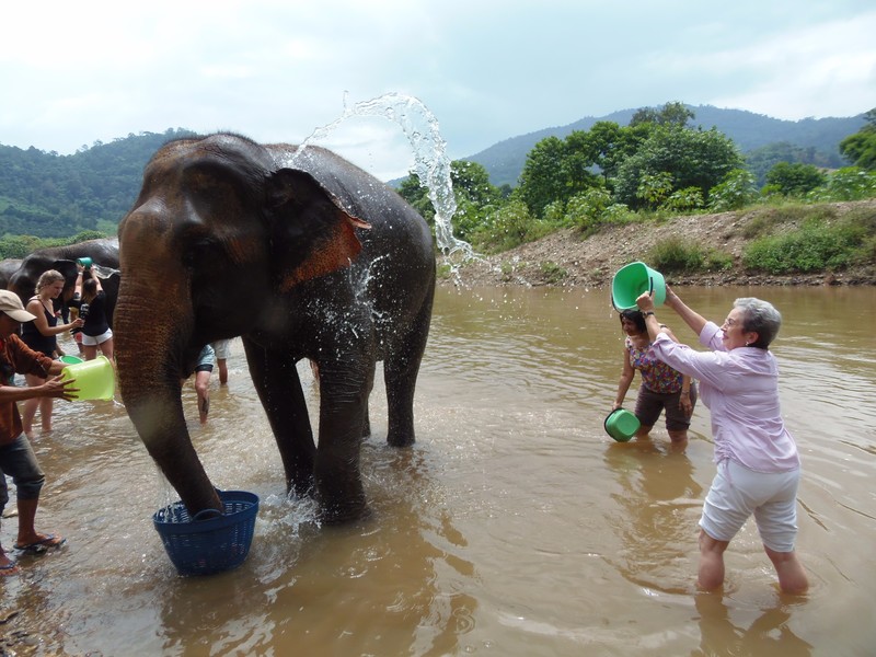 Jan bathing the elephant