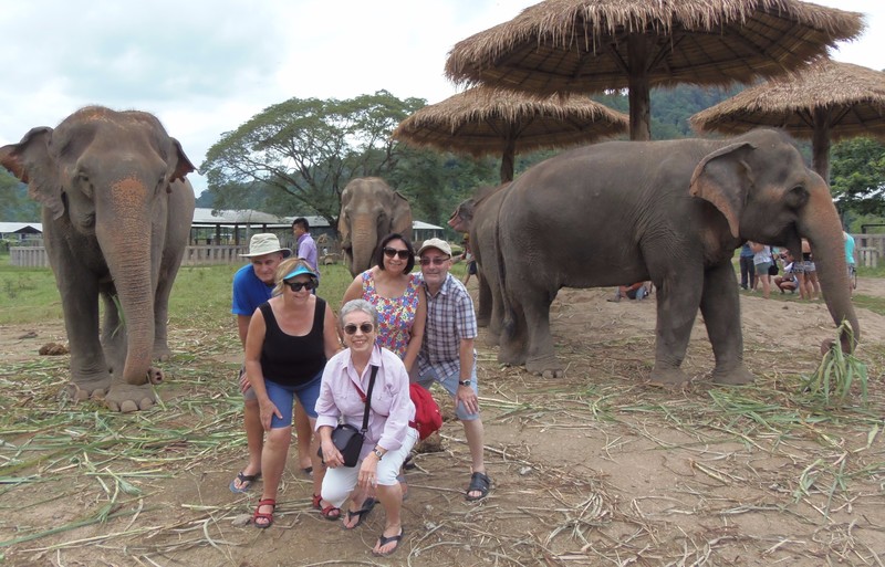 Our group with some of the elephants