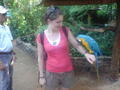 Triona the macaw hunter