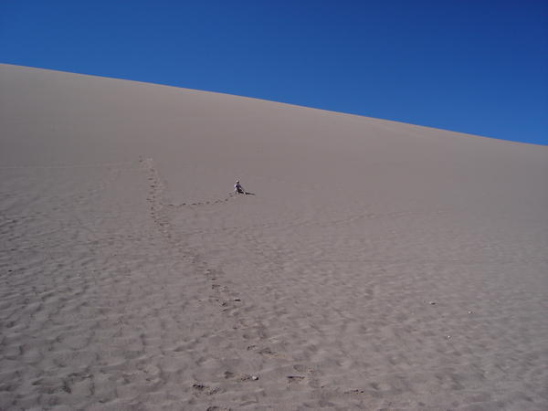 A large sand dune