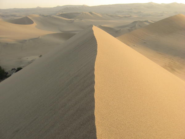Sand dune of Huacachina