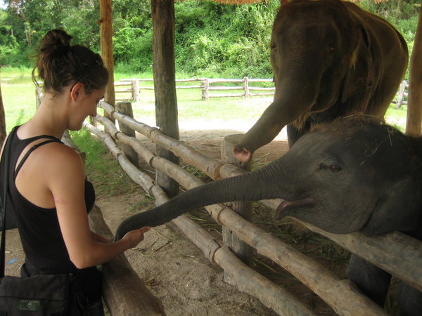 Triona feeding an elephant calf