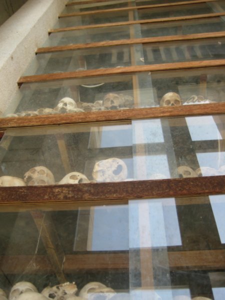 Display of skulls found at this site