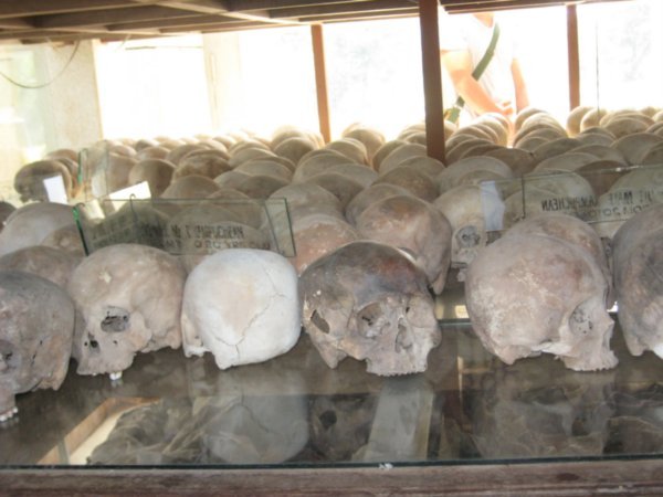 Skulls from the killing field