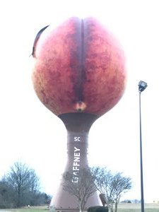 Gaffney's Famous Water Tower