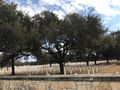 Ft Sam Houston National Cemetery