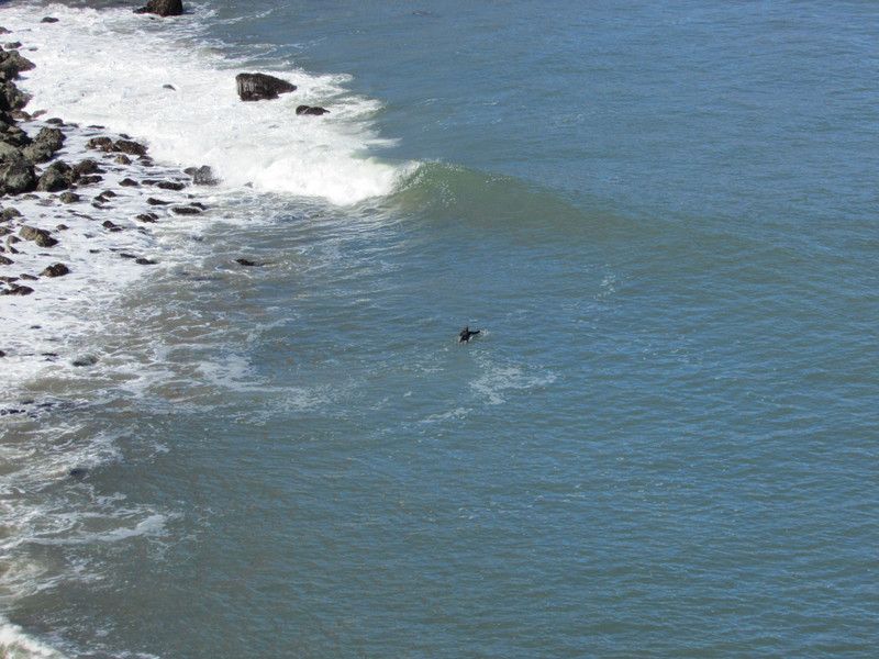 Surfer at Base of Bridge