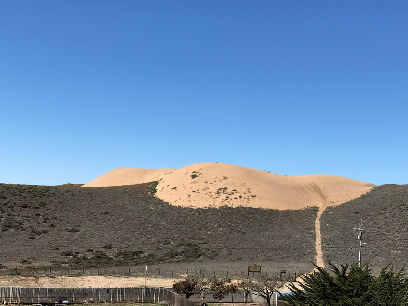 Dunes in Fort Ord State Park